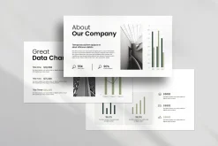 Clean Minimal Presentation Template