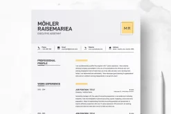 Clean Resume