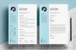 Clean Resume 2 Pages