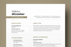 Clean Resume Template