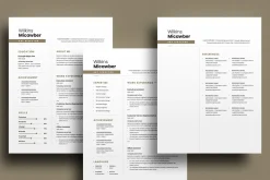 Clean Resume Template