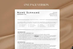 Clean Resume Template Google Docs