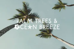 Coastal Paradise - Cute Summer Font