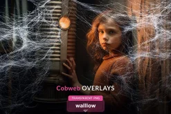 Cobweb PNG Overlay Halloween Clipart