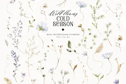 Cold season - watercolor wildflowers