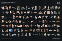 1500+ Collage Elements Creator Kit