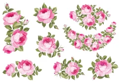 Collection of Rose 8 Bouquet Design.