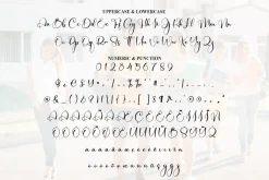 College | Script Font