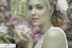 Color Overlays Photoshop
