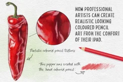 Coloured Pencil Artist - Procreate