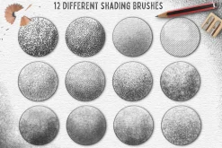 Coloured Pencil Artist - Procreate