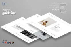Company Brand Identity Guideline
