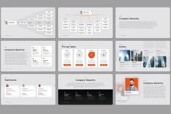 Company Hierarchy for PowerPoint