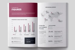 Company Profile, Business Brochure