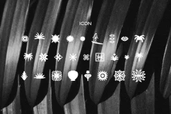 Conega Display Font