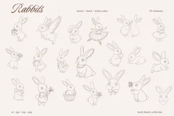 Coquette rabbit vintage illustration