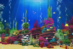Coral Forest - Seaweed Valley