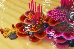 Coral Forest - Seaweed Valley
