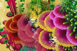 Coral Forest - Seaweed Valley