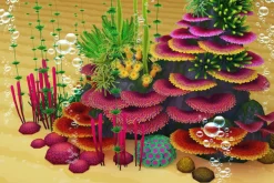 Coral Forest - Seaweed Valley