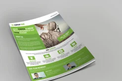 Corporate Flyer