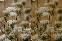 25 Cottagecore Lightroom Presets