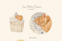 Cottagecore Vintage Illustrations