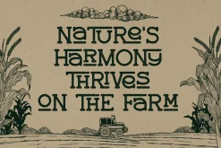 Country Road Vintage Label Font