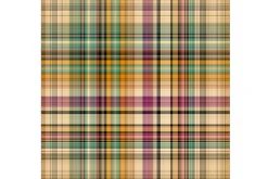 Country Dance Plaid Seamless Repeat