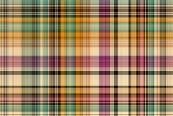 Country Dance Plaid Seamless Repeat