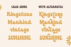Crab Shine - Cool Retro Font