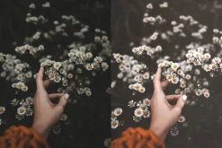 10 Creamy Light Lightroom Presets
