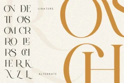 CRONDE || Elegant Luxury Serif