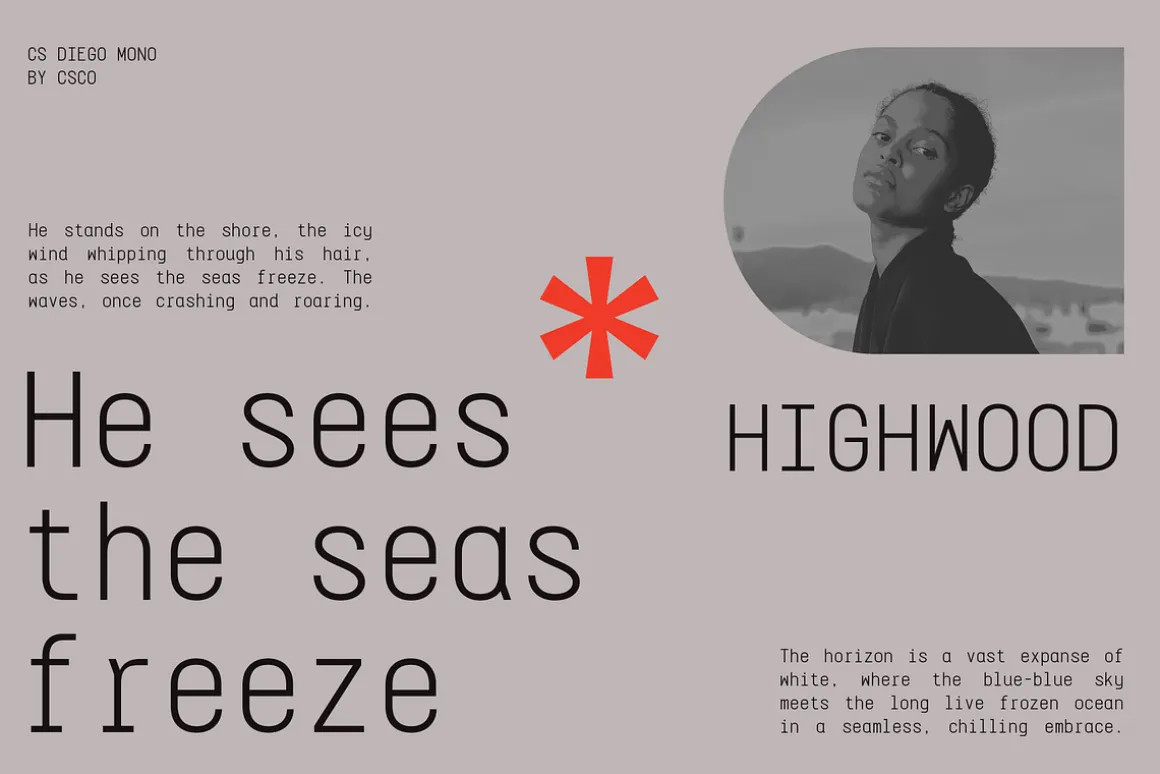 CS Diego Mono – Sans Serif Typeface