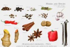 Culinary Herbs and Spices Clipart