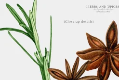 Culinary Herbs and Spices Clipart