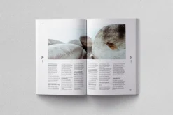 Cult Magazine