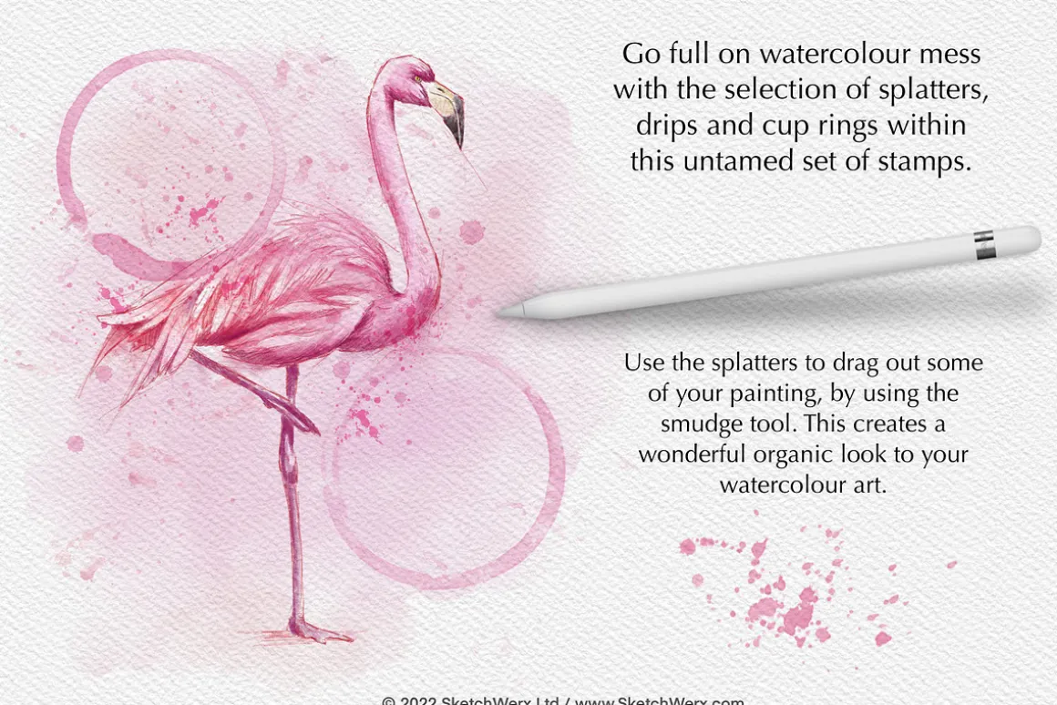 Cup Rings & Drips - for Procreate
