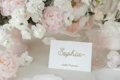 Curly Ribbon Handwritten Whimsy Font