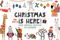 Cute Little Animals Bundle