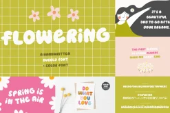 Cute Font BUNDLE