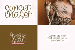 Cute Handwritten Font Bundle