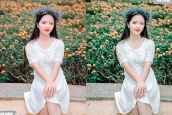 Cute Tones Lightroom Presets