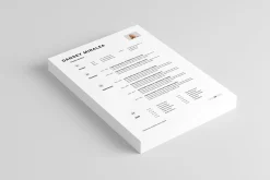CV | MS Word & Indesign