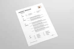 CV | MS Word & Indesign