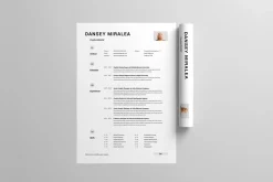 CV | MS Word & Indesign