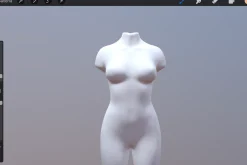 3D Model Female for Procreate App
