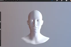 3D Model Female for Procreate App