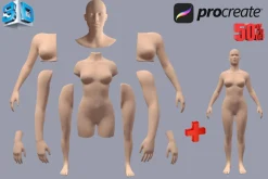 3D Model Female for Procreate App
