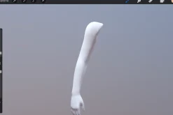 3D Model Female for Procreate App